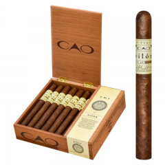 CAO Pilon Churchill