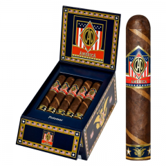 CAO America Potomac