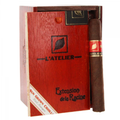 L'Atelier Extension De La Racine ER17 Toro