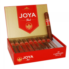 Joya De Nicaragua Red Canonazo Robusto Gordo